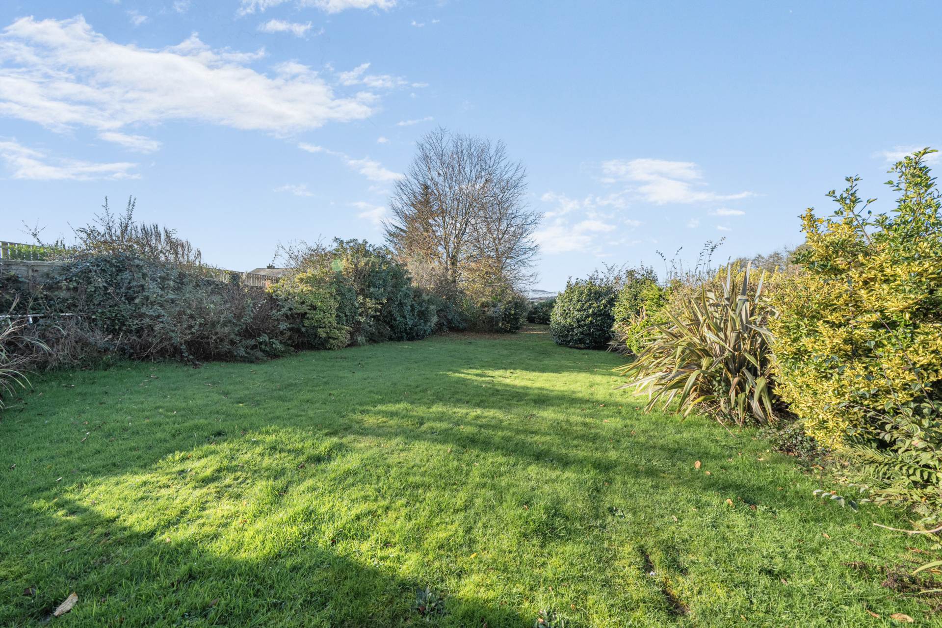 Callington. PL17, Image 20