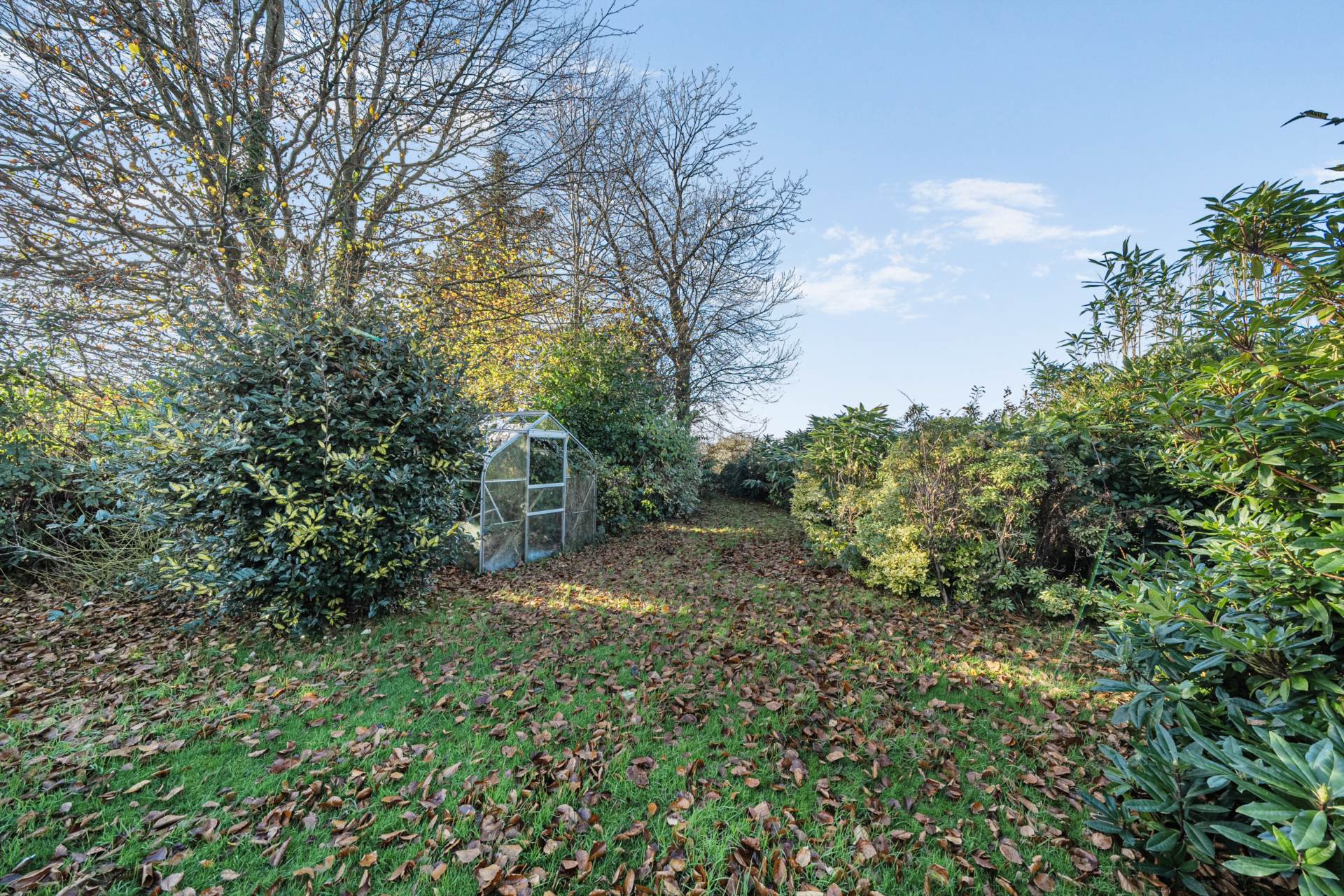 Callington. PL17, Image 8