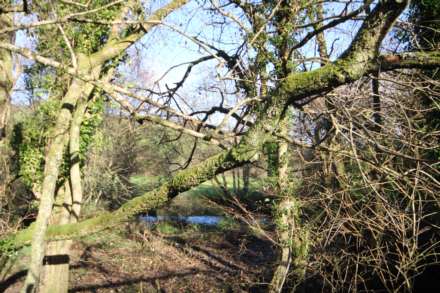 Beals Mill, Stoke Climsland, Image 2
