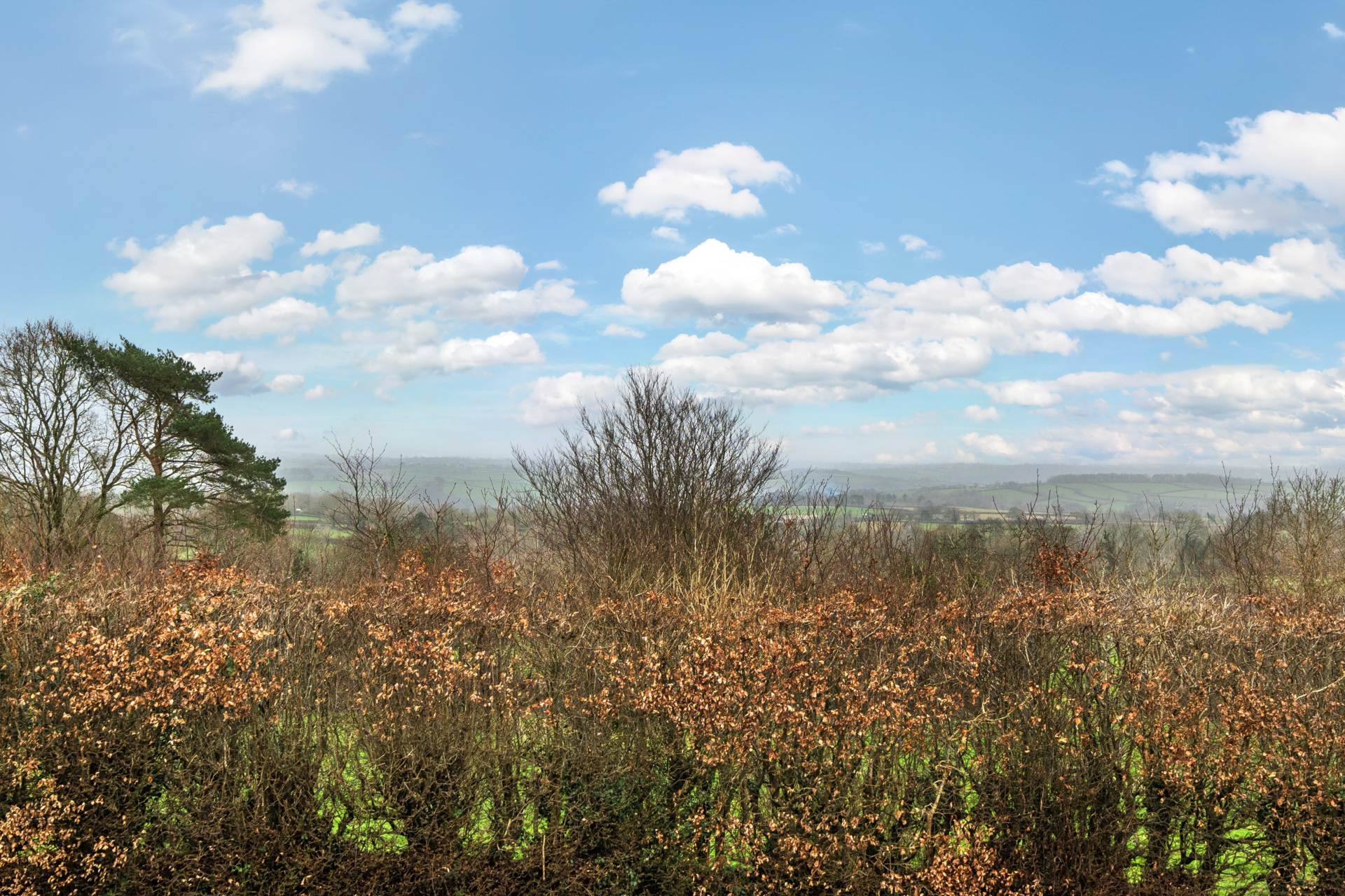 Phoebe Close, Gunnislake, Image 7