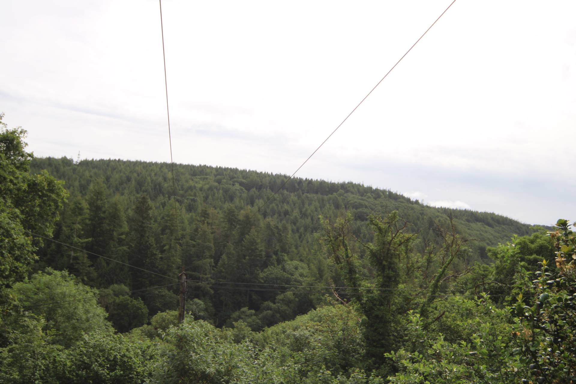 Gunnislake, Image 11