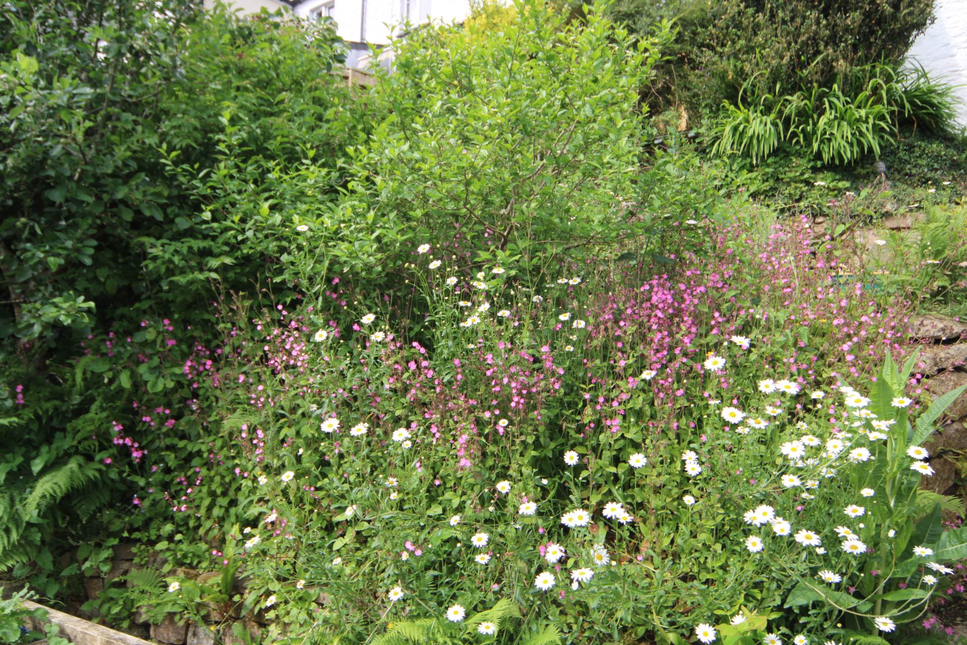 Gunnislake, Image 12