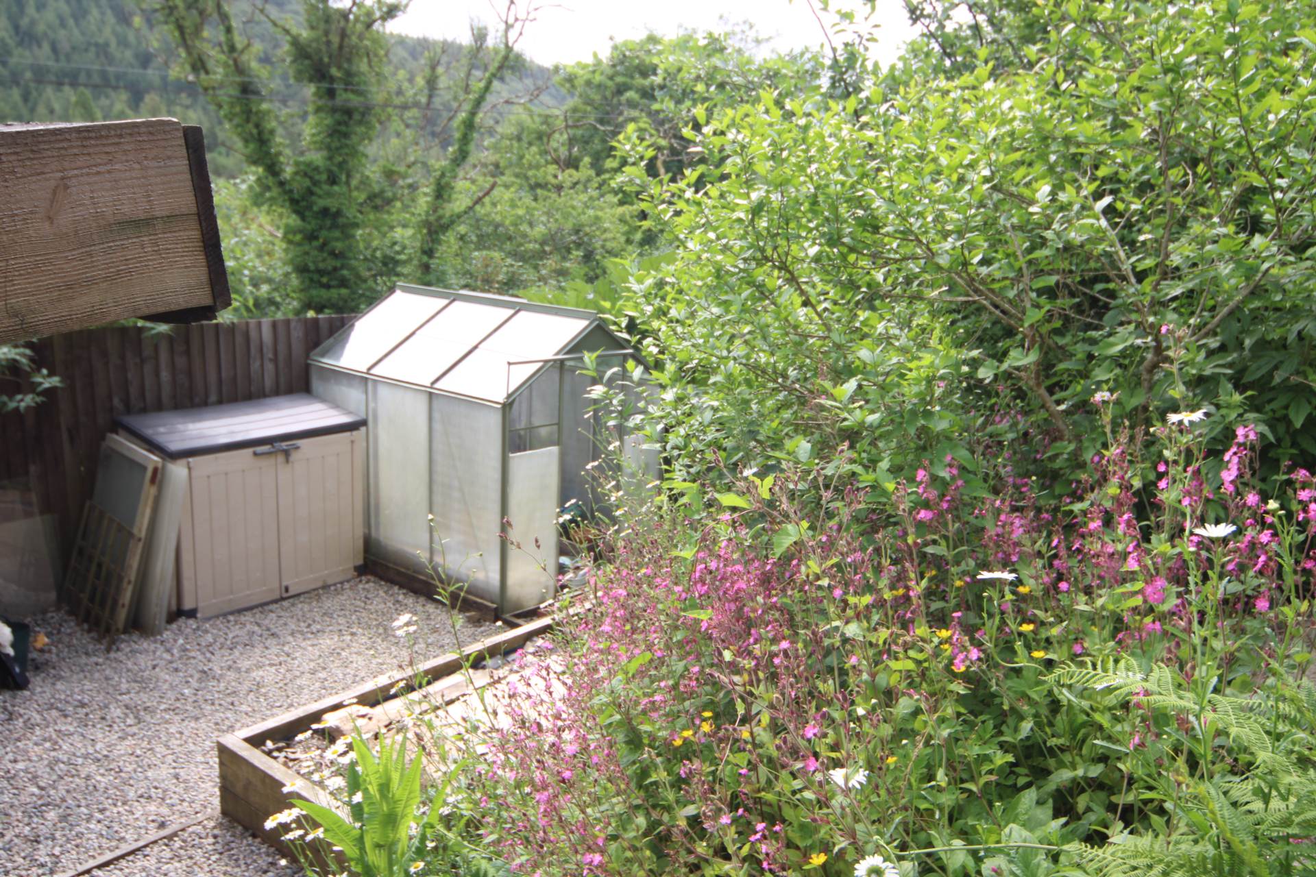 Gunnislake, Image 13