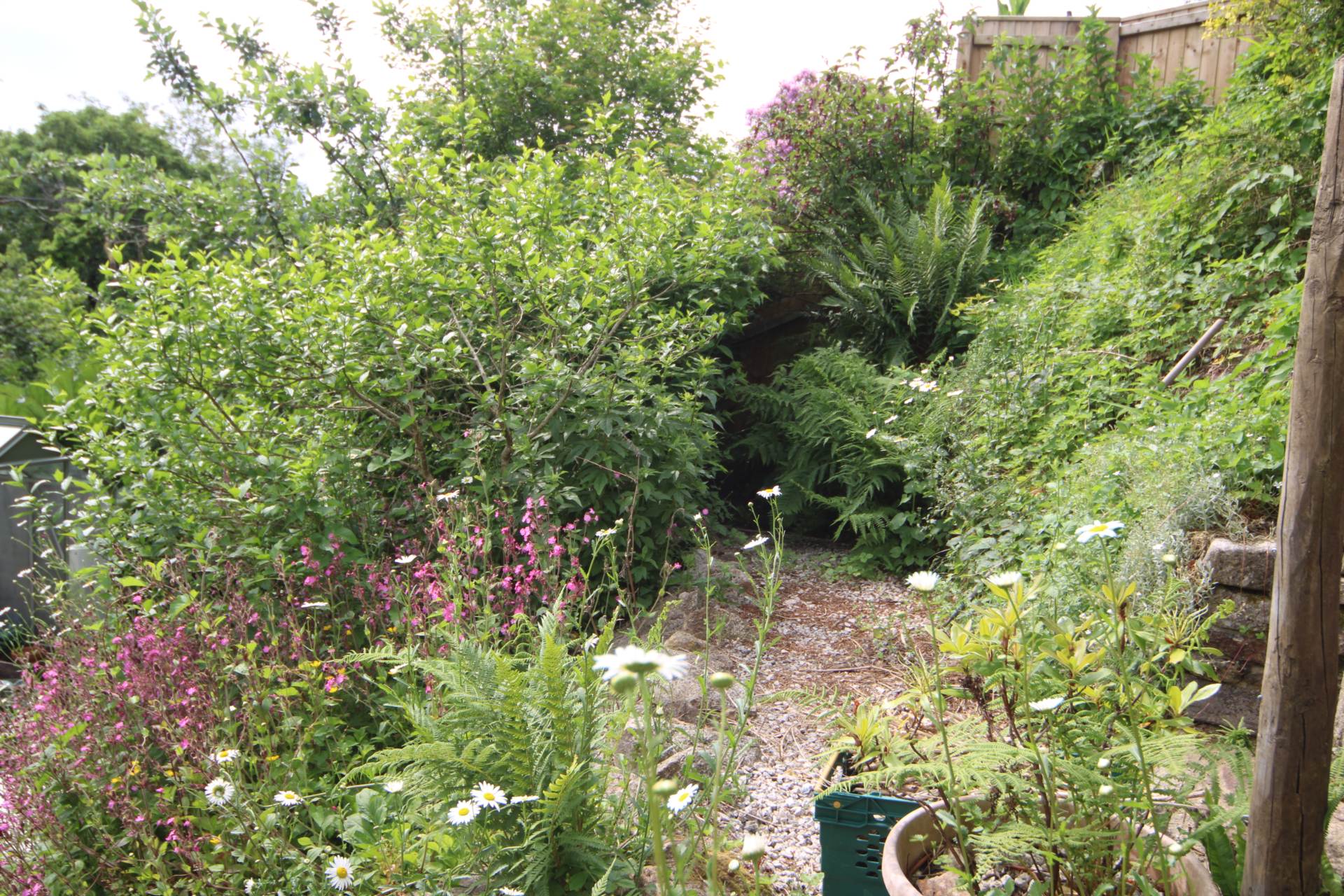 Gunnislake, Image 14