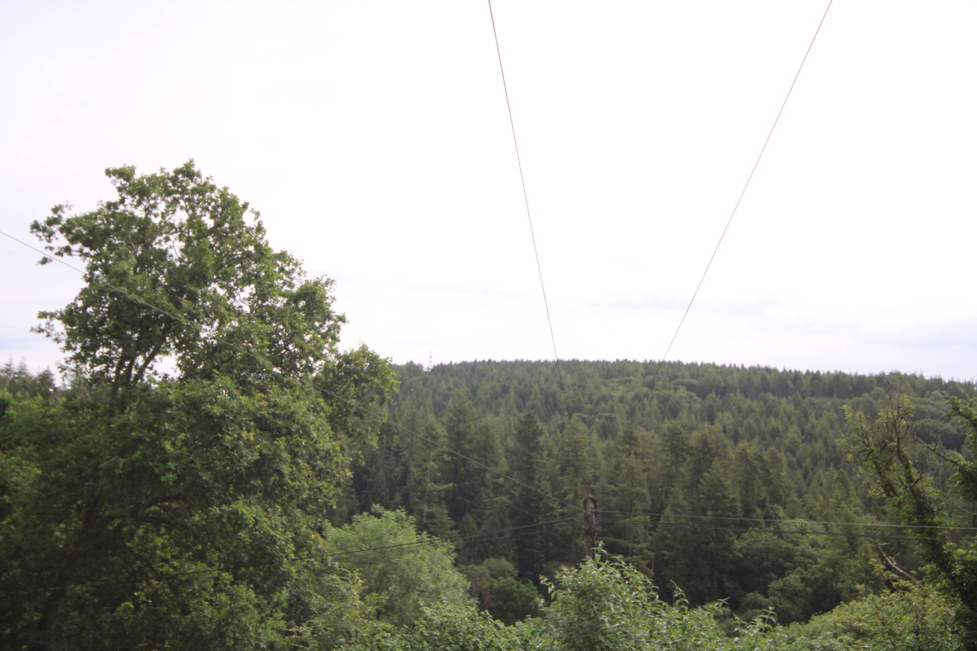Gunnislake, Image 6
