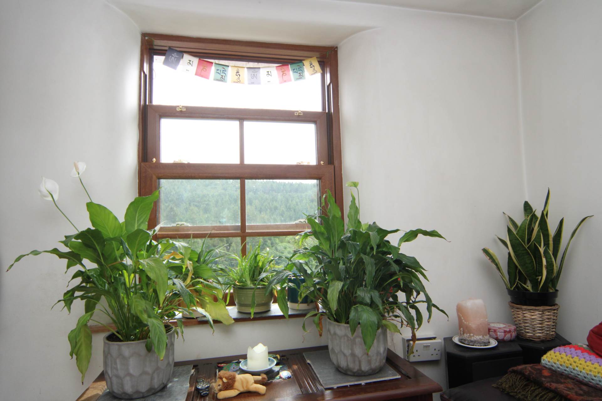 Gunnislake, Image 7