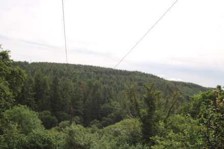 Gunnislake, Image 11