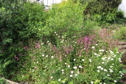 Gunnislake, Image 12