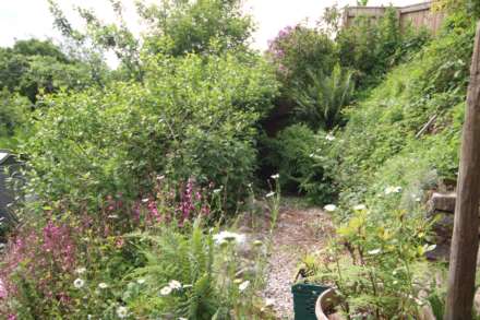 Gunnislake, Image 14