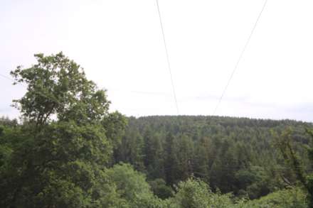 Gunnislake, Image 6