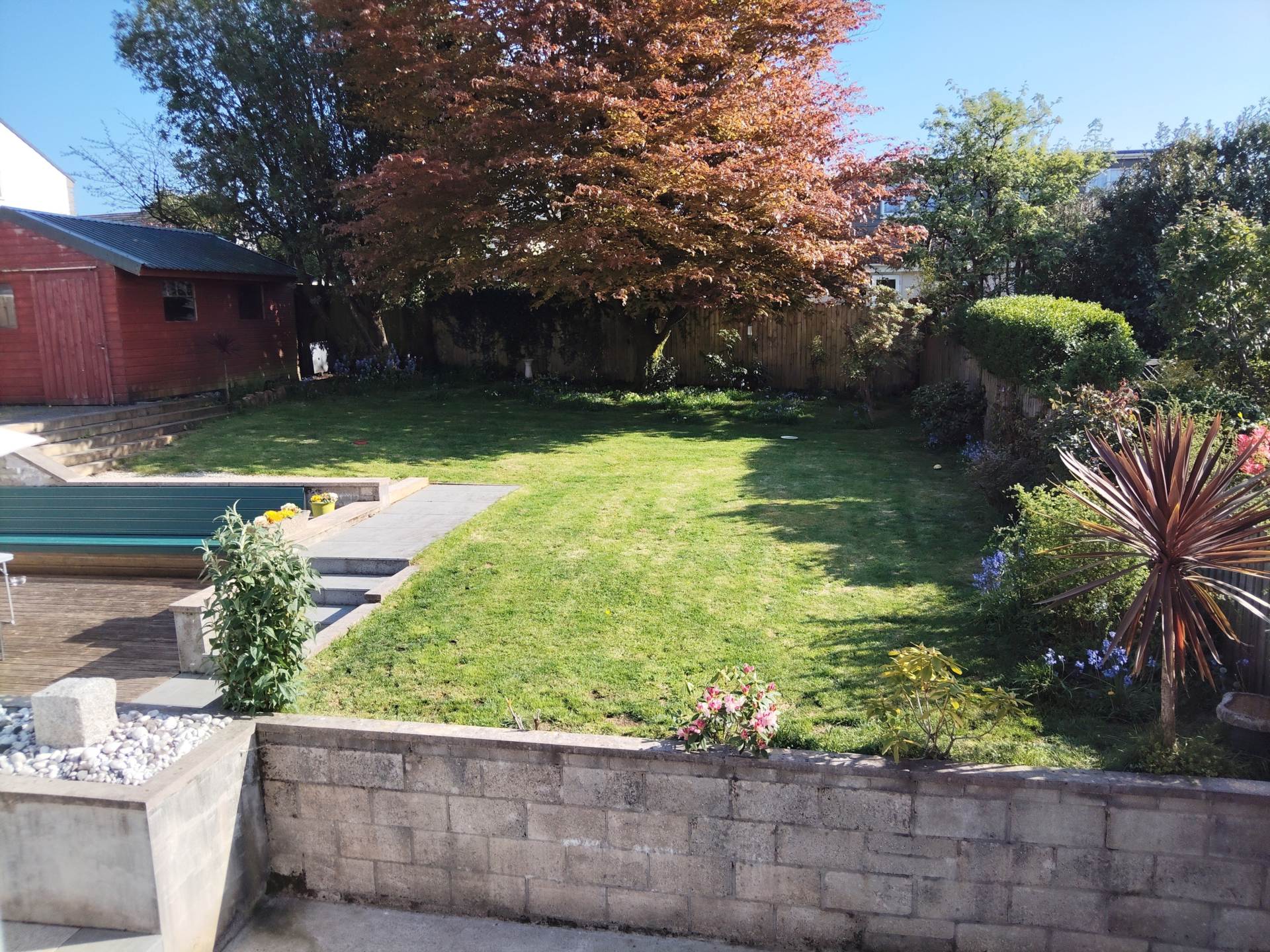 Callington, Image 19