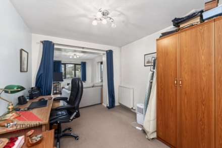 Kelly Bray. Callington., Image 15