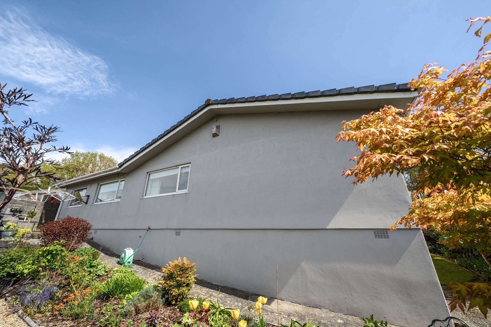 Albaston, Gunnislake, Image 17