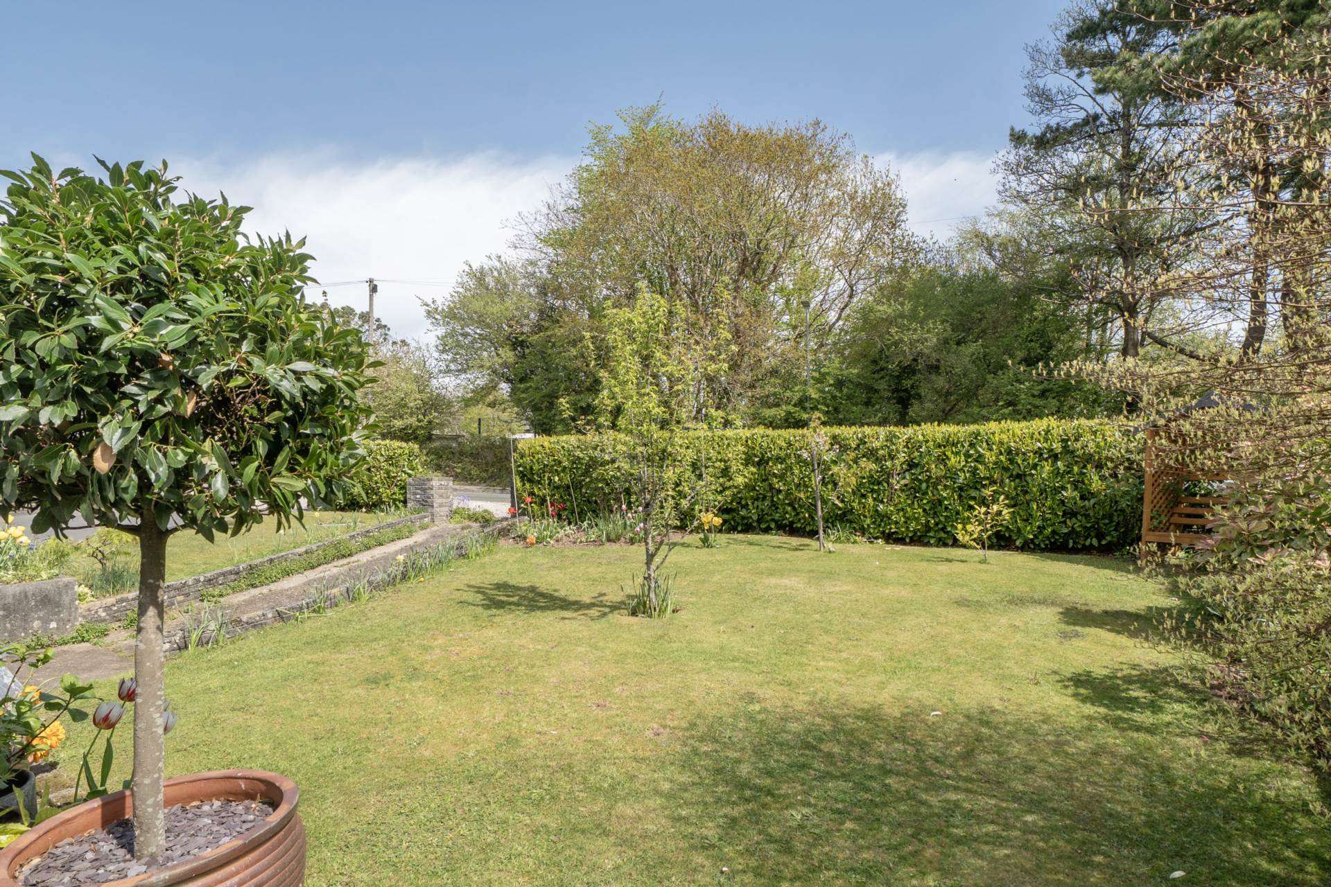 Albaston, Gunnislake, Image 9