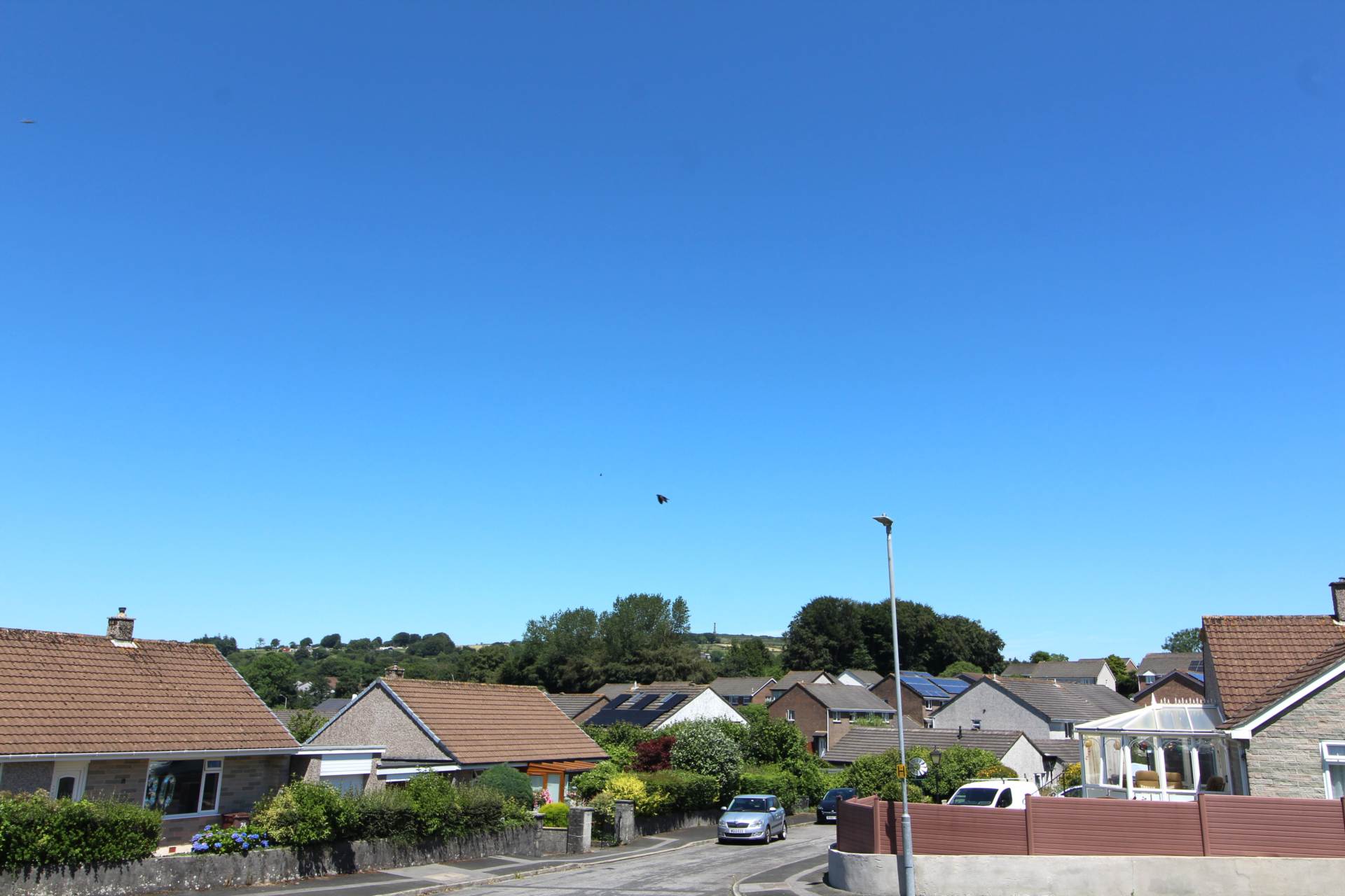 Callington, Image 19