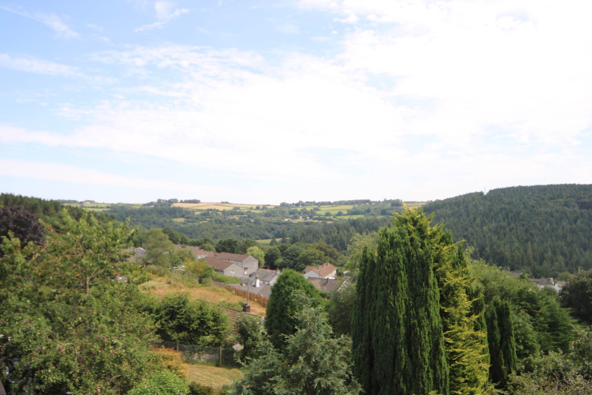 Middle Dimson, Gunnislake, Image 18