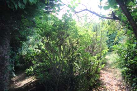 Middle Dimson, Gunnislake, Image 17