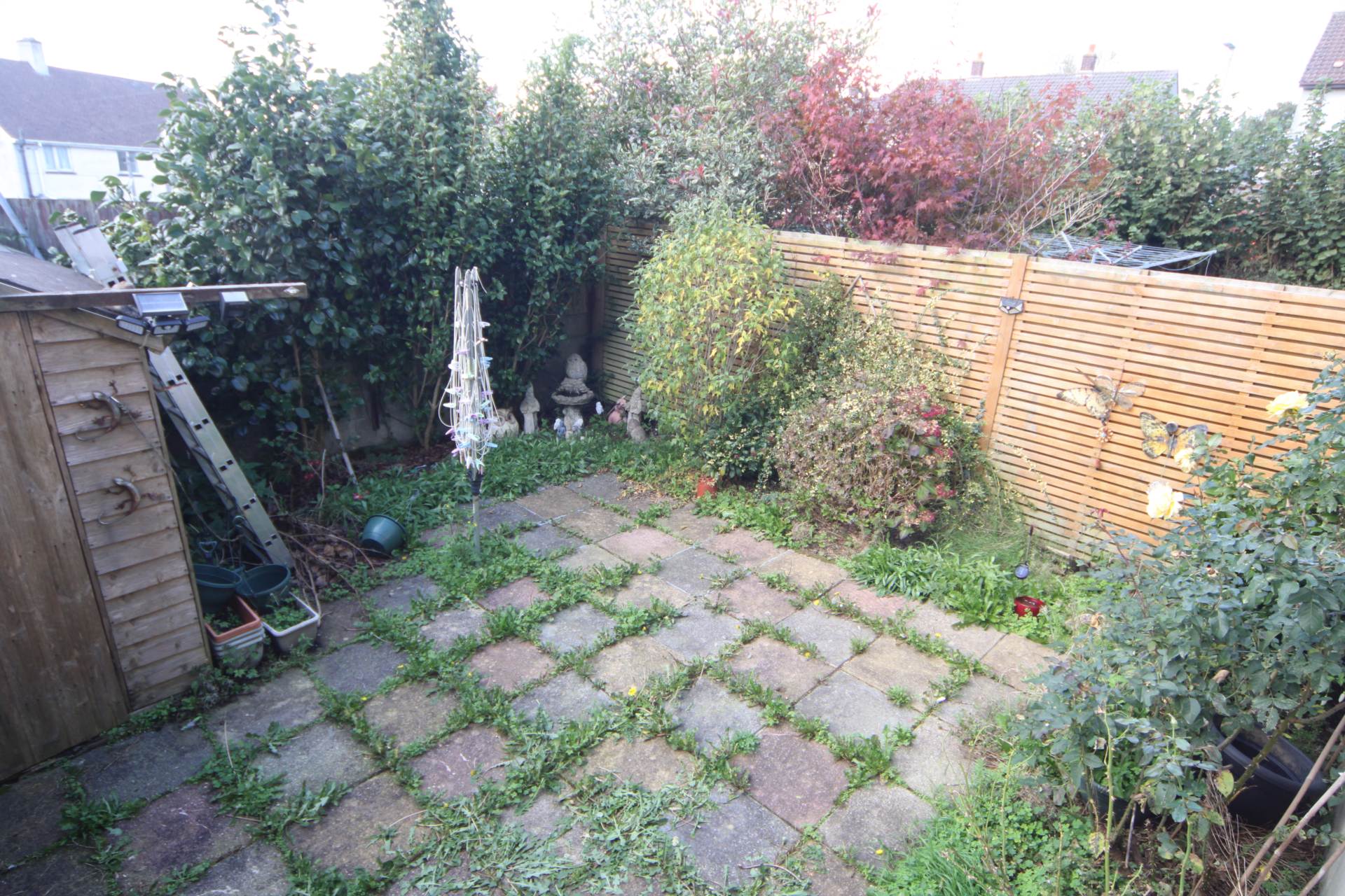 Callington, Image 10