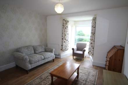 Lower Dimson, Gunnislake, Image 14