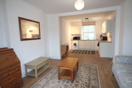 Lower Dimson, Gunnislake, Image 4