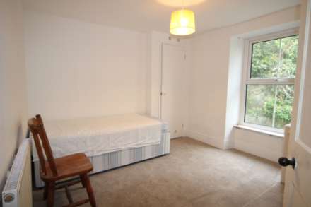 Lower Dimson, Gunnislake, Image 6