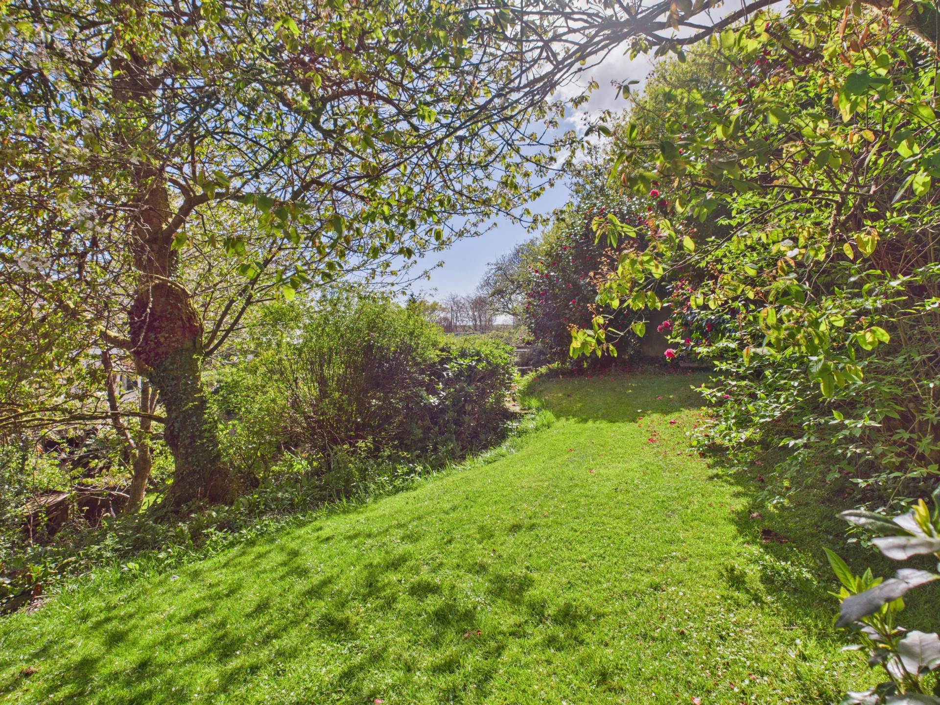 Harrowbarrow, Image 9