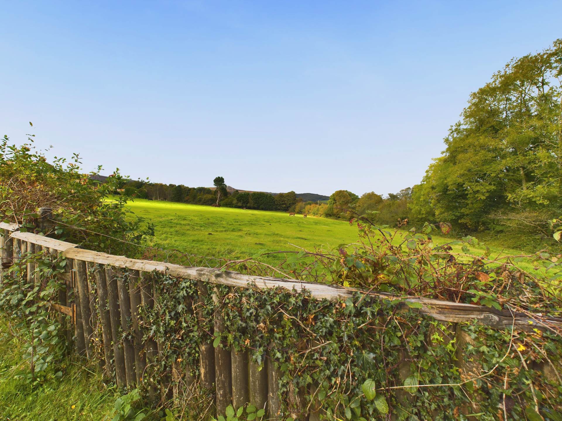 Liskeard., Image 8