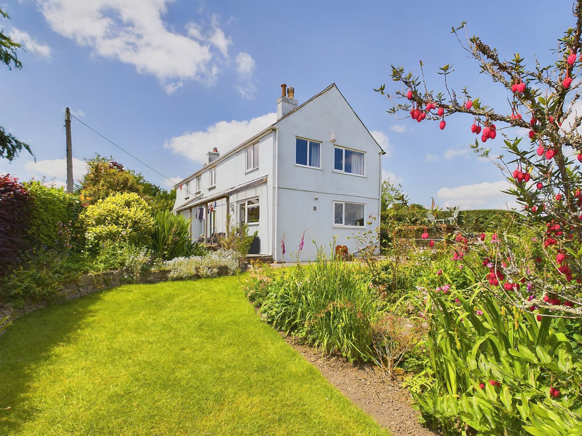 Halton Quay, St Dominick., Image 12