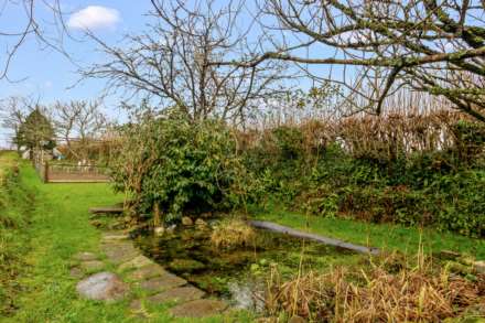 Halton Quay, St Dominick., Image 16