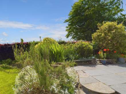 Halton Quay, St Dominick., Image 21