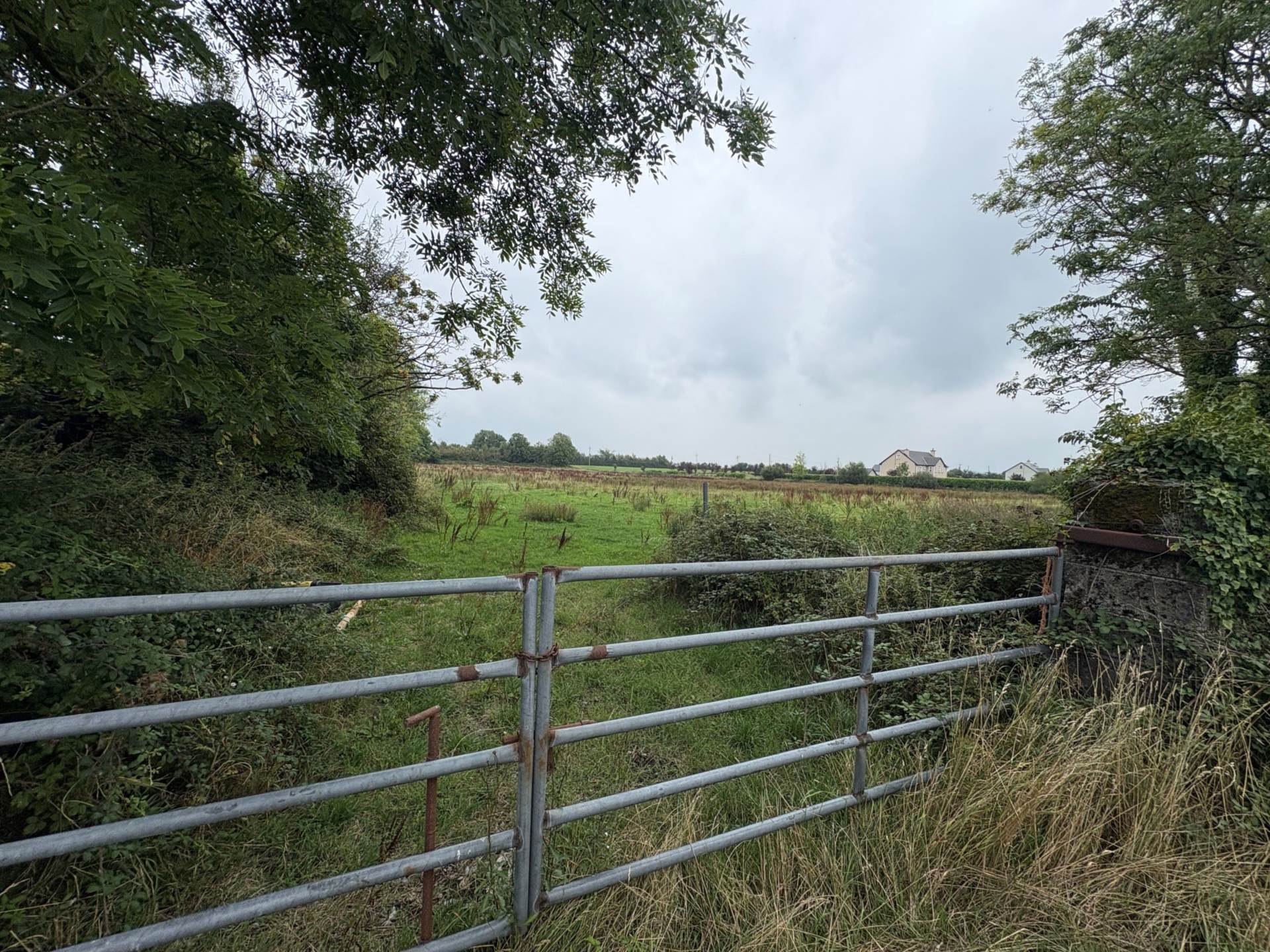 Ballyrobin, Newcastle West