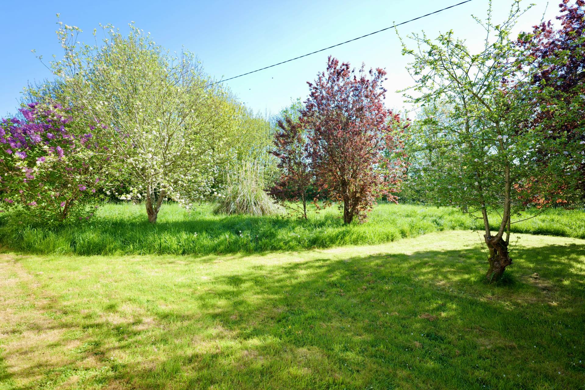 Knockanes, Patrickswell, Co. Limerick. V94 ECF9 Knockanes, Patrickswell, Co. Limerick. V94 ECF9