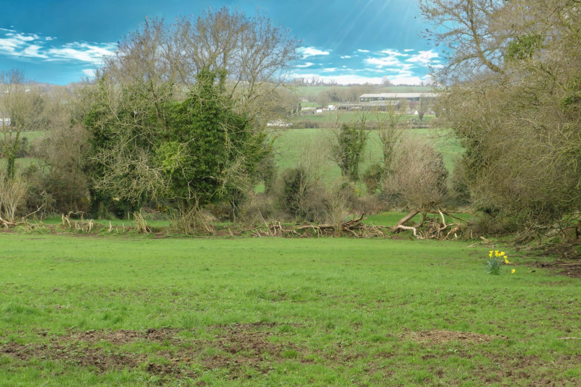 Coombs, Ardpatrick, Co. Limerick V35 VY07