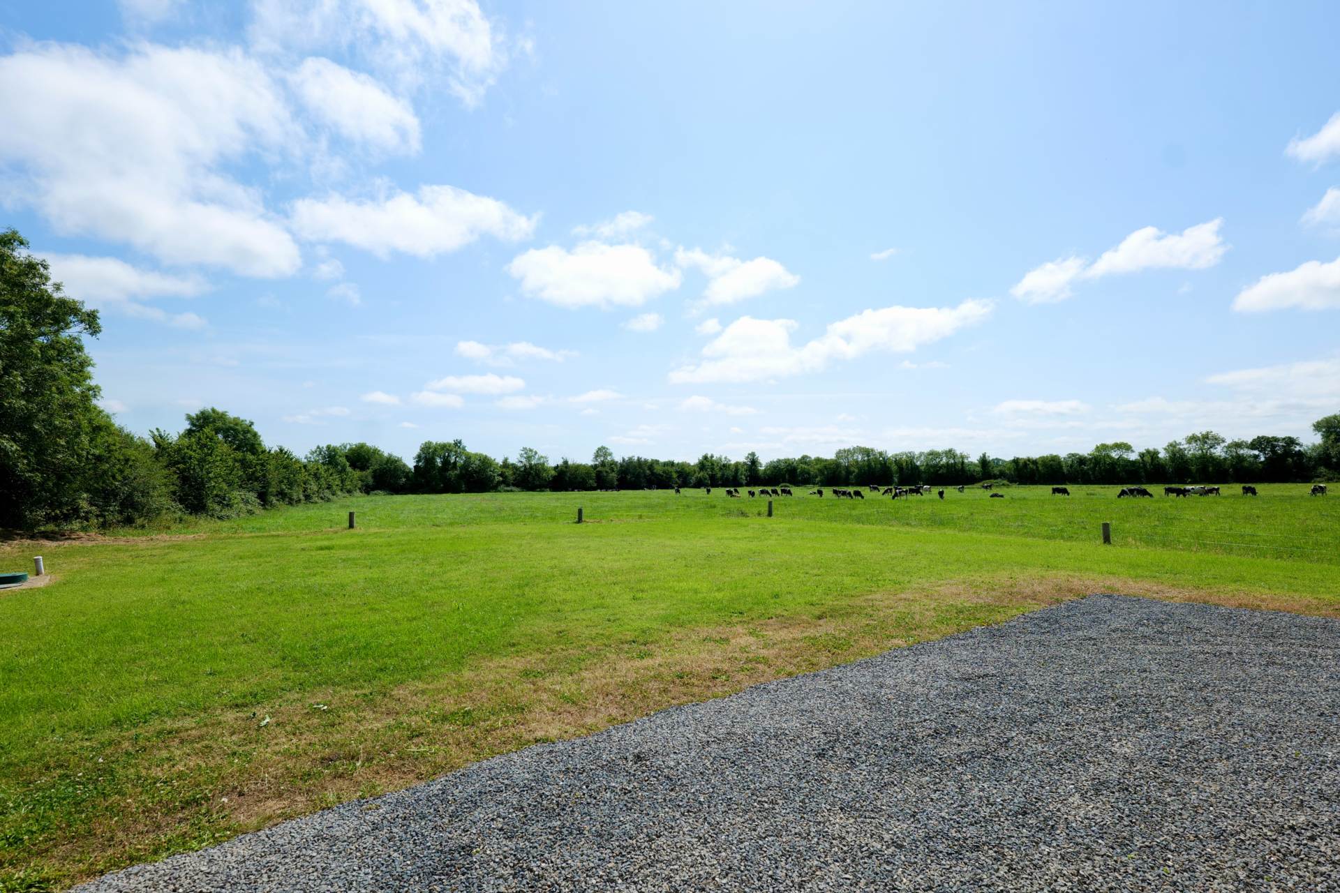 Mountblakeney, Kilmallock, Co. Limerick V35 N299