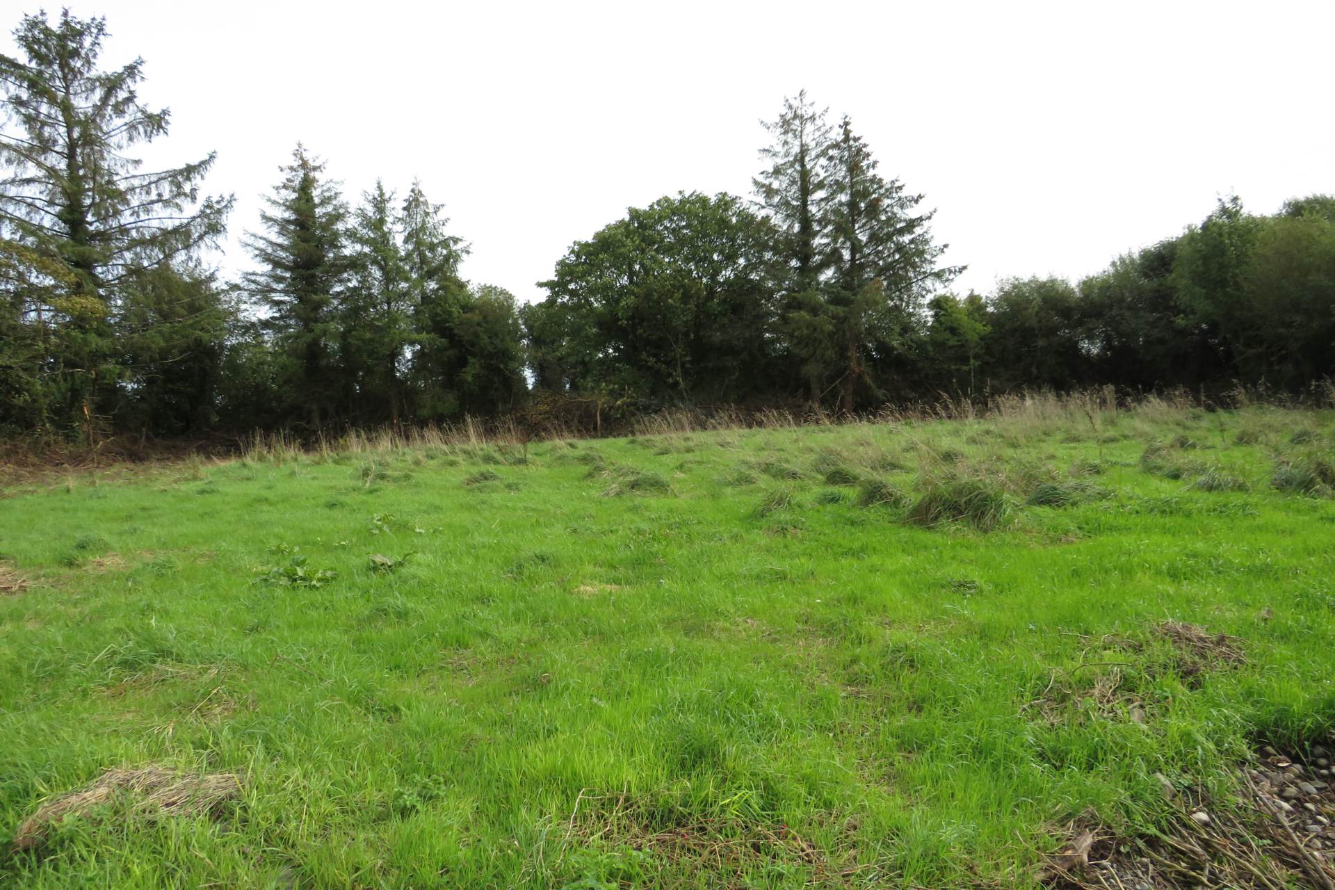 Thomastown, Effin, Kilmallock, Co. Limerick