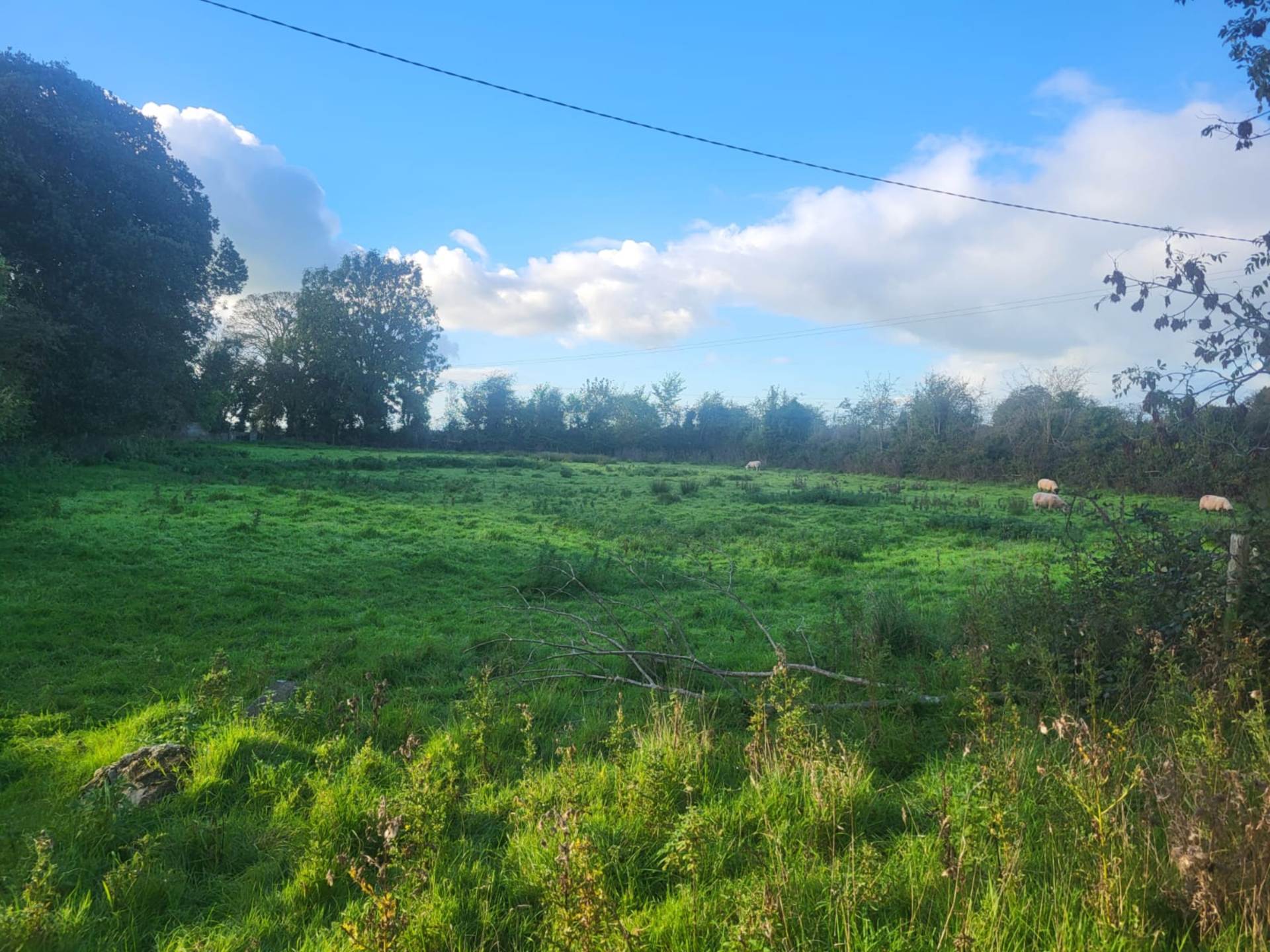 Uregare, Kilmallock, Co. Limerick V35 YA38 Uregare, Kilmallock, Co. Limerick V35 YA38