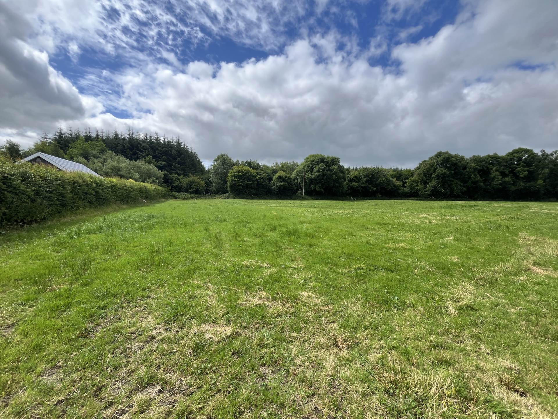 Rooskagh East, Newcastle West, Co. Limerick