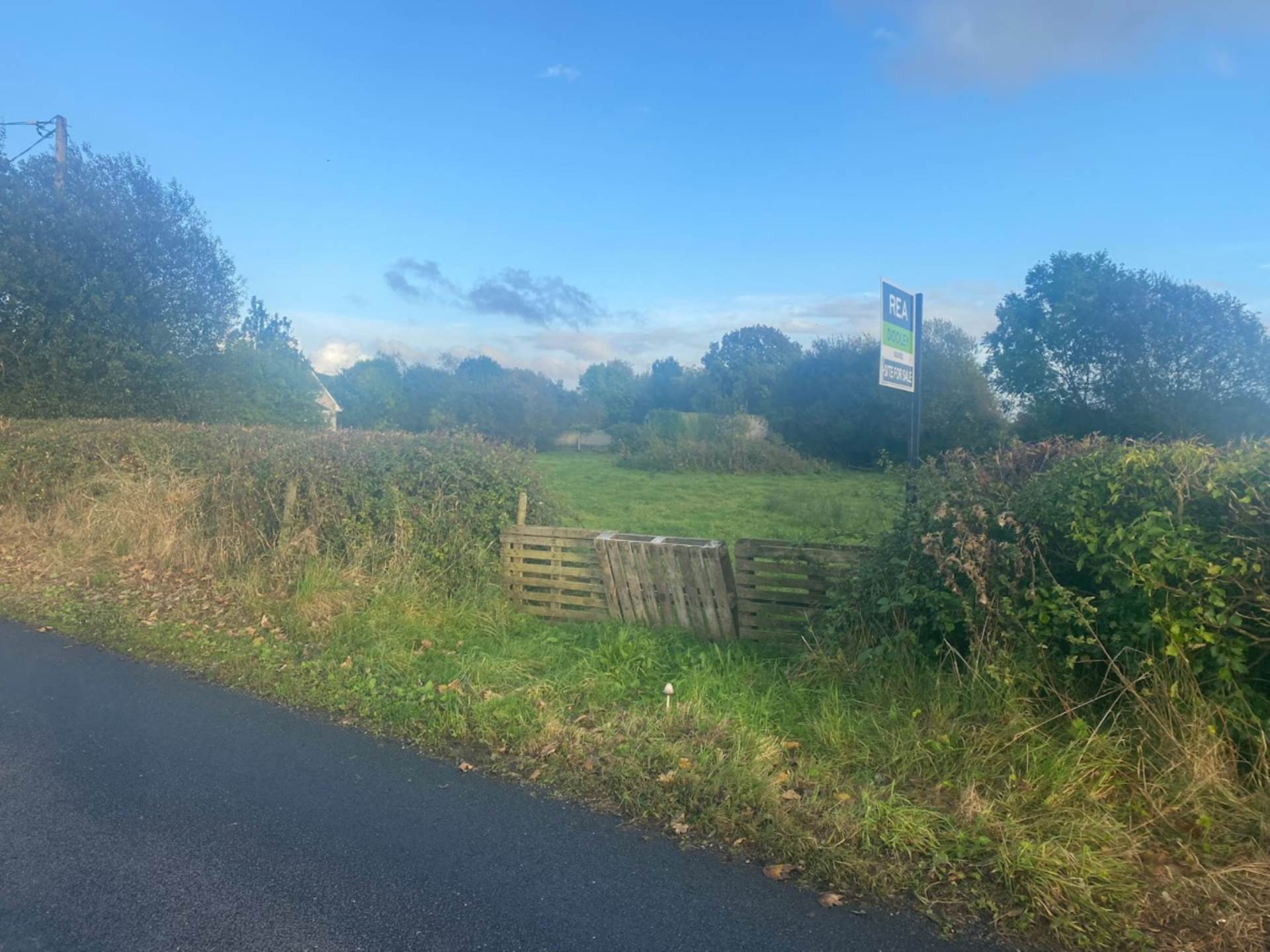 Annagh, Lisnagry, Co. Limerick