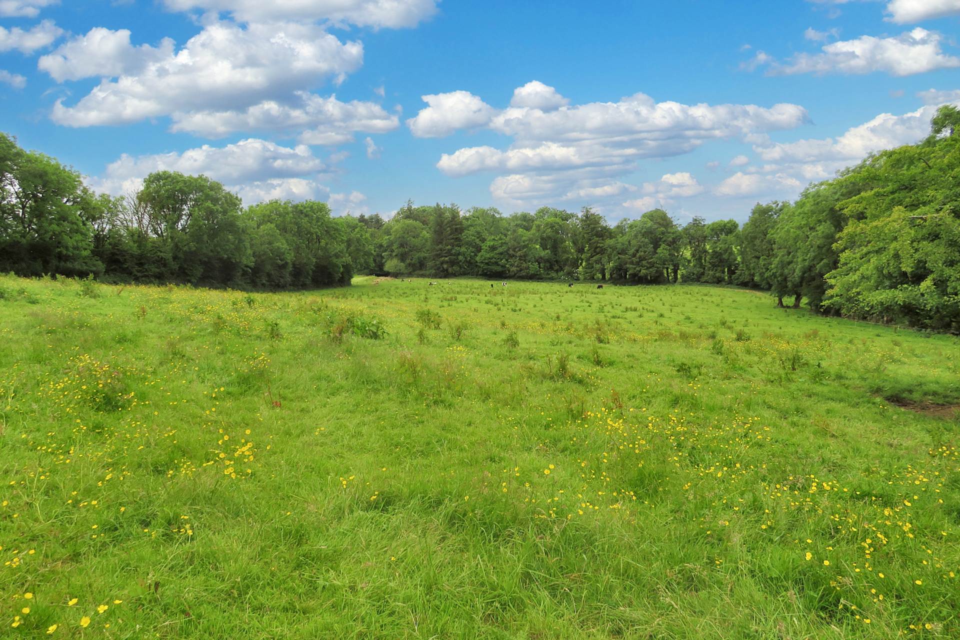 Lacka Lower, Broadford, Co. Limerick P56 EK09