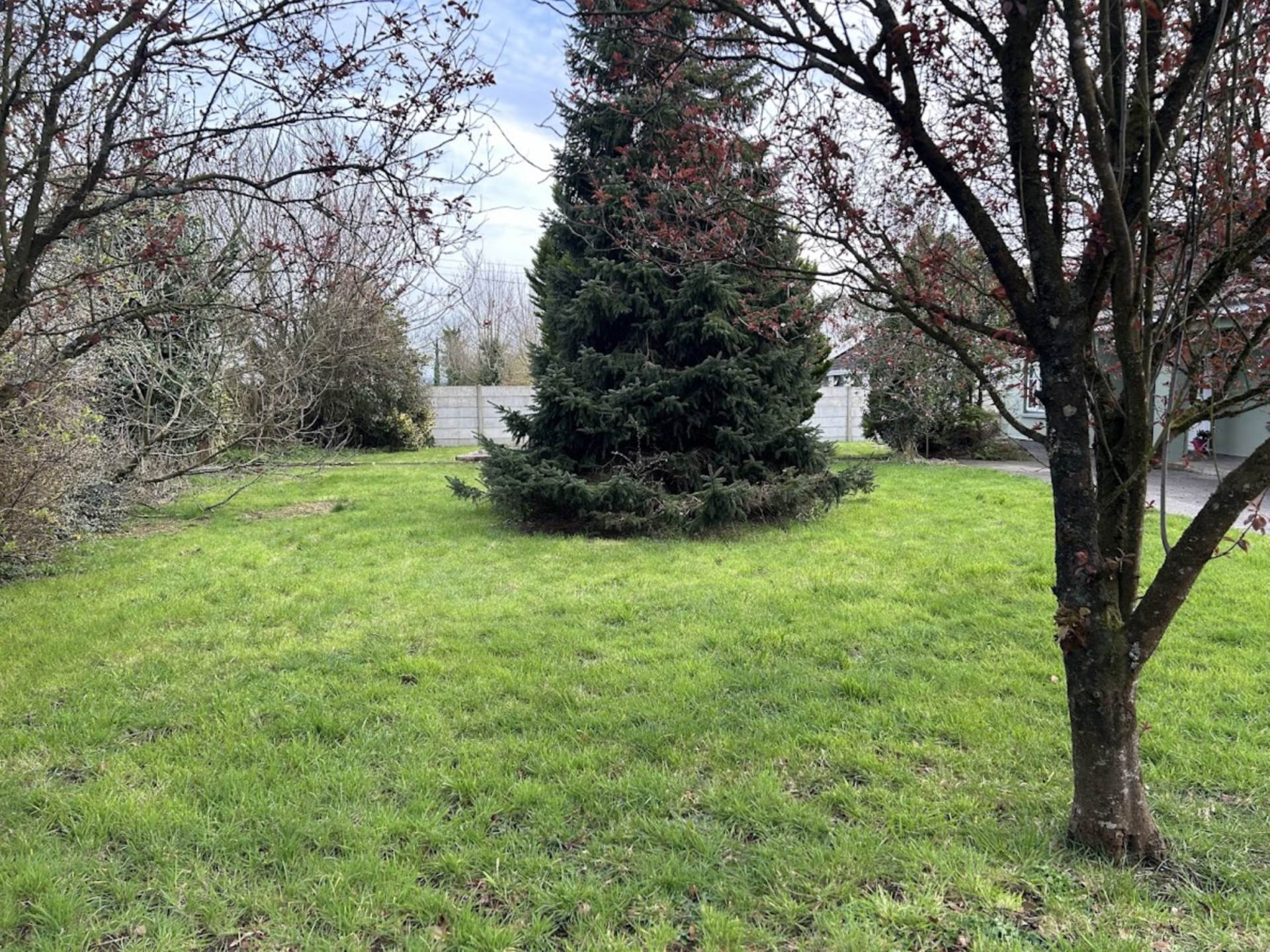 High Road, Friarstown, Grange, Kilmallock, Co. Limerick – V35 RD88
