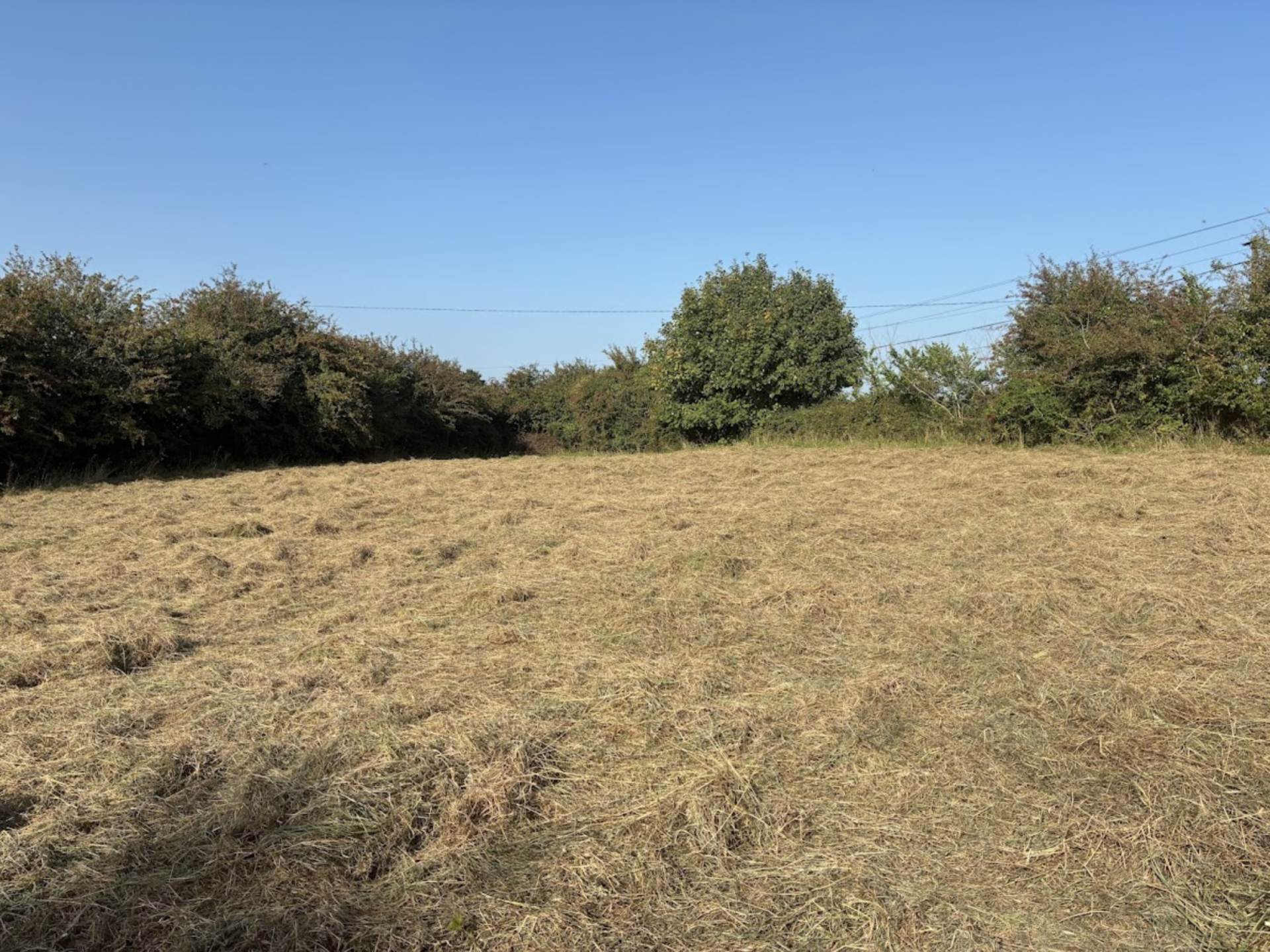 Coologue, Old Pallas, Pallasgreen, Co. Limerick – V94 P58F