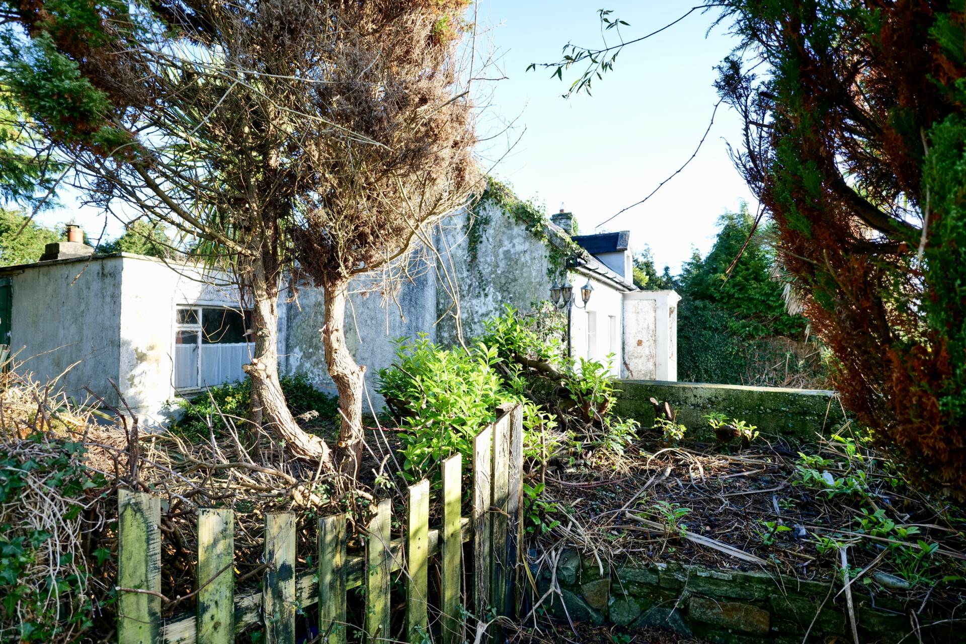 Raheenagh, Ballagh, Co. Limerick. V42 W025 Raheenagh, Ballagh, Co. Limerick. V42 W025