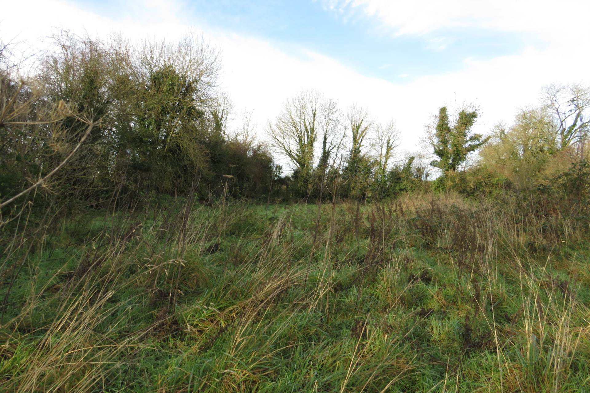 Ballynoran, Ballyhea, Charleville, Co. Cork Ballynoran, Ballyhea, Charleville, Co. Cork