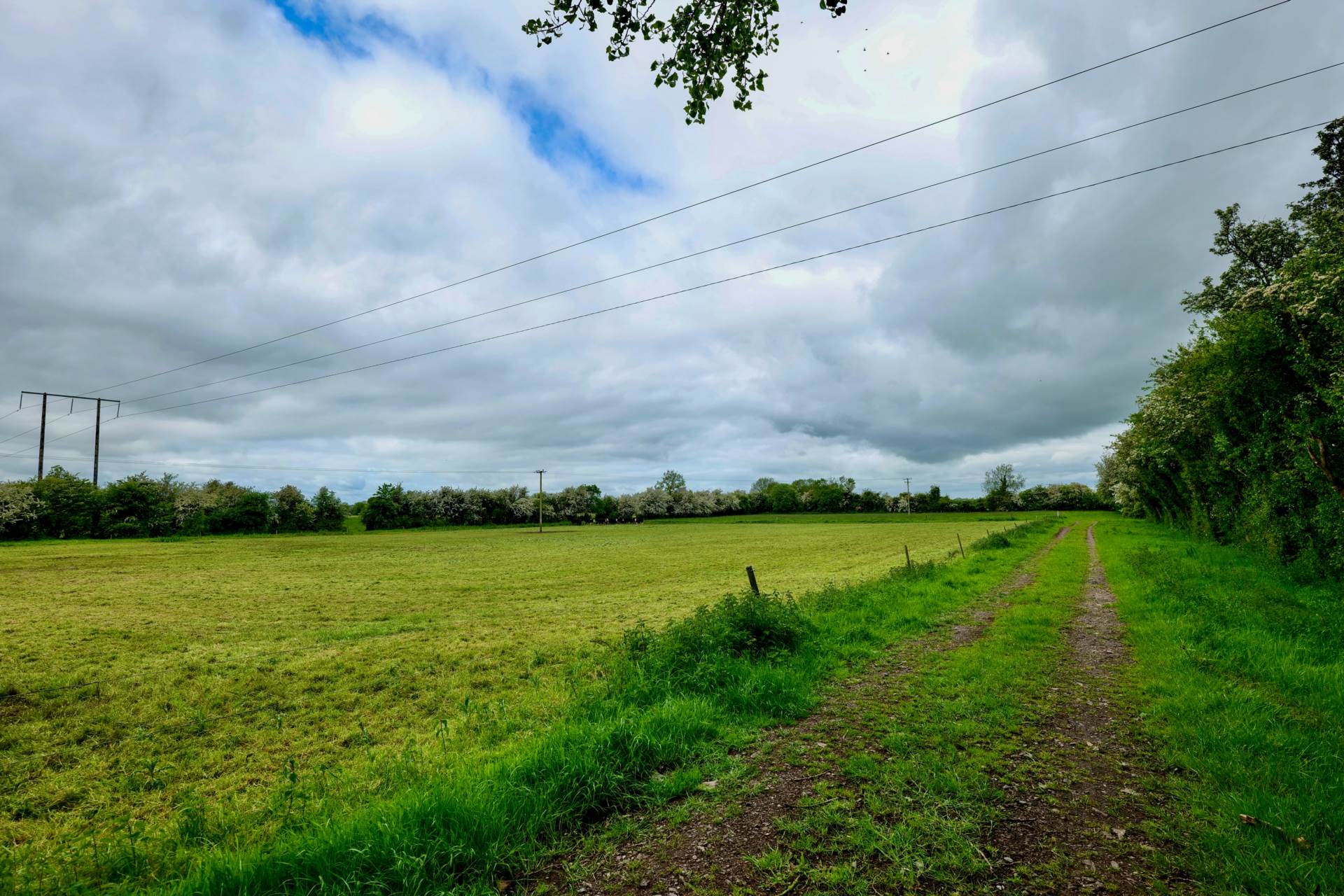 Bohergeela Lodge, Bohergeela, Meanus, Kilmallock, Co. Limerick – V35 HX75