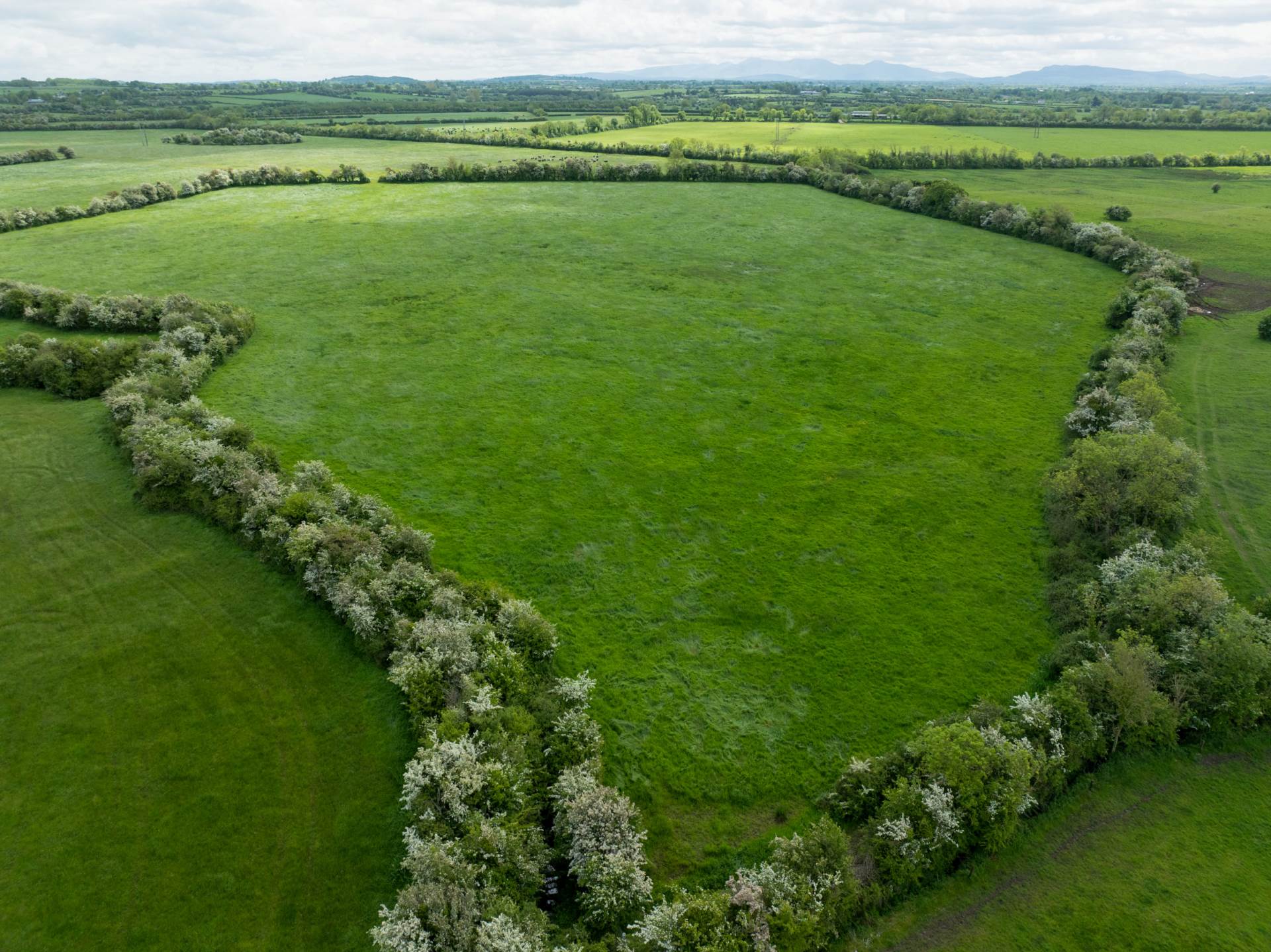 Bohergeela Lodge, Bohergeela, Meanus, Kilmallock, Co. Limerick – V35 HX75