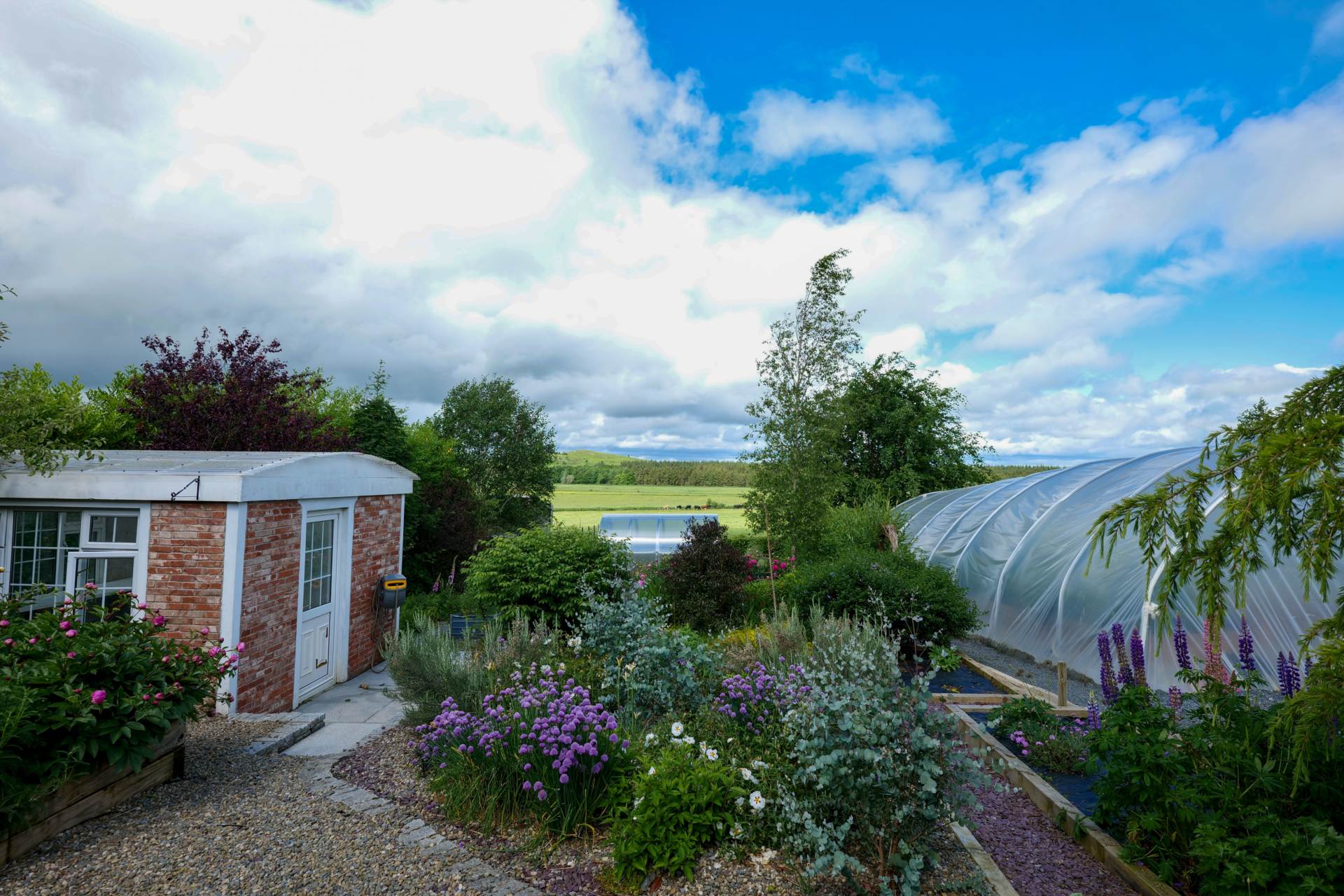 Cahercorney, Bruff, Co. Limerick – V35 NF76