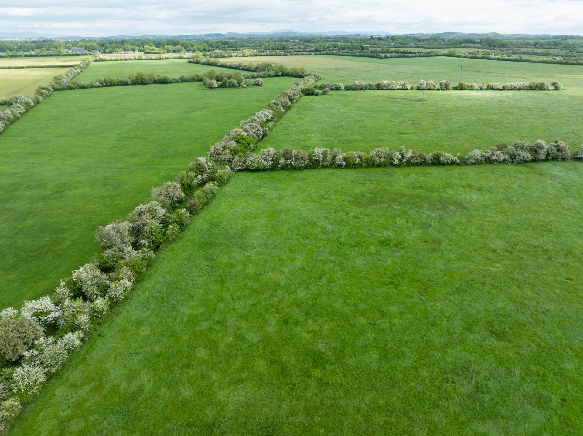 Bohergeela, Meanus, Bruff, Co. Limerick – V35 HX75 Bohergeela, Meanus, Bruff, Co. Limerick – V35 HX75