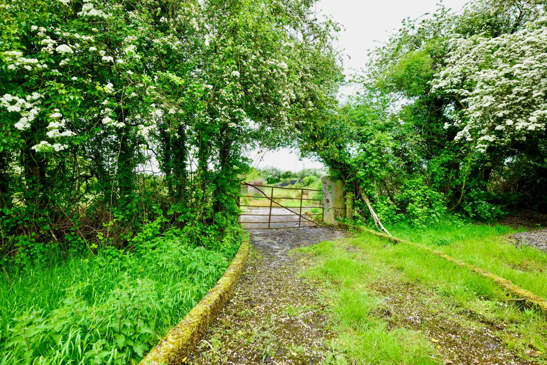 Bohergeela Lodge, Bohergeela, Meanus, Kilmallock, Co. Limerick – V35 HX75