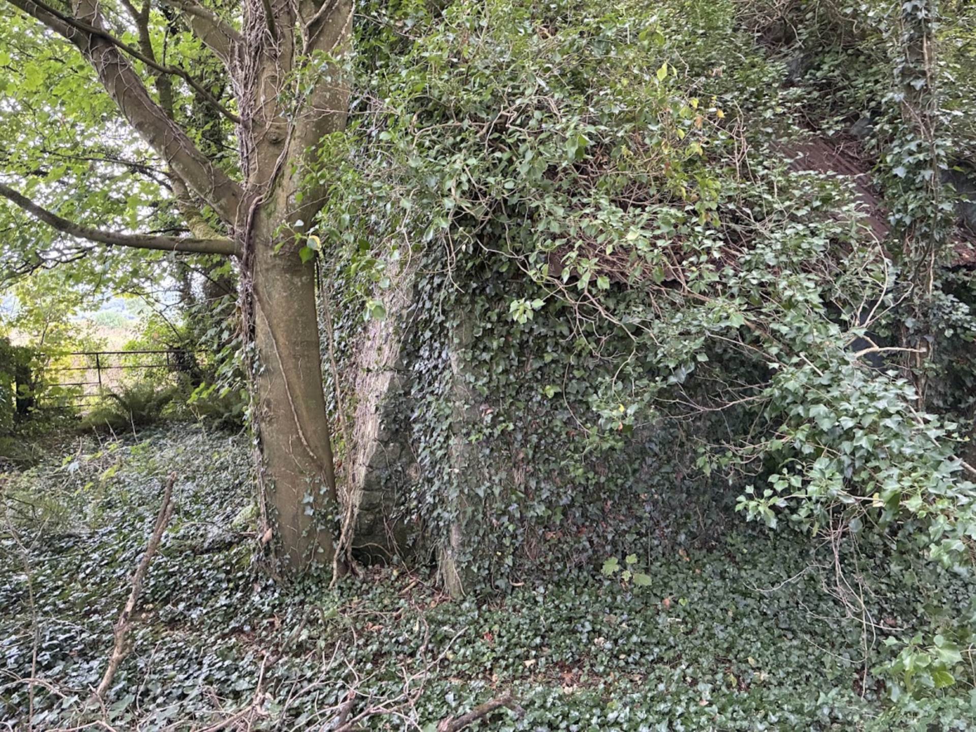 Knockainey Hill, Hospital, Co. Limerick