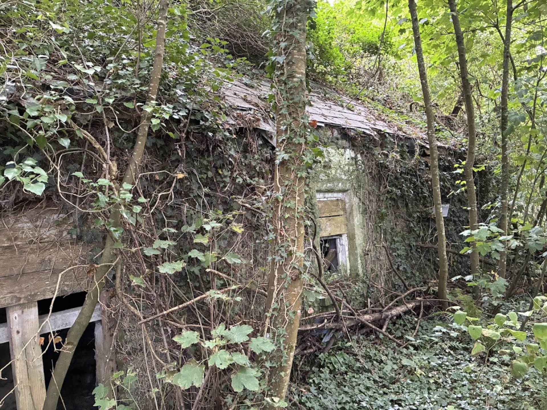 Knockainey Hill, Hospital, Co. Limerick